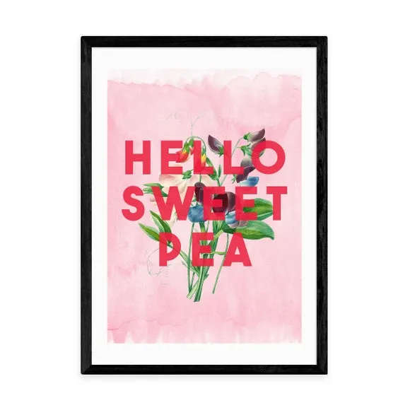 Hello Sweet Pea Art Print - Pink