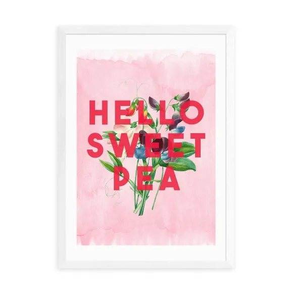 Hello Sweet Pea Art Print - Pink