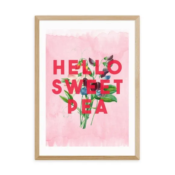 Hello Sweet Pea Art Print - Pink