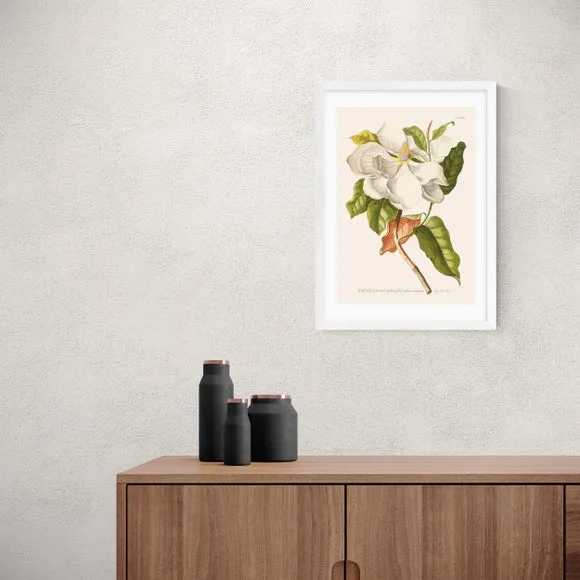 Magnolia Wall Print - Multicolor, Paper