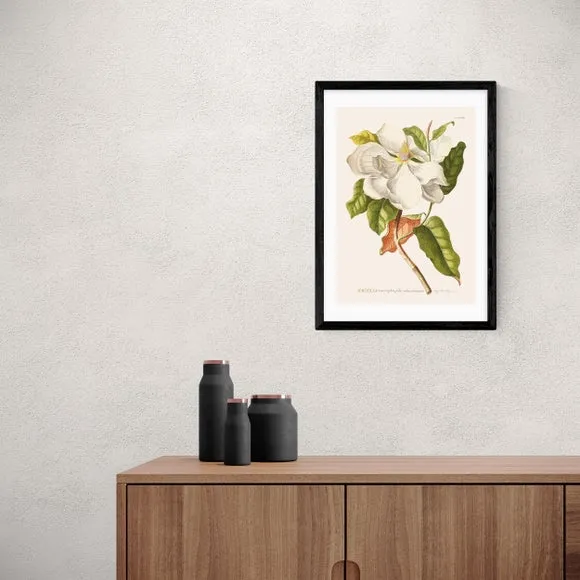 Magnolia Wall Print - Multicolor, Paper