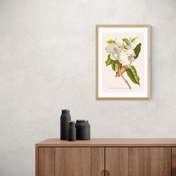 Magnolia Wall Print - Multicolor, Paper