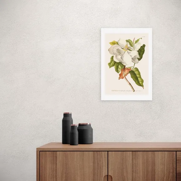 Magnolia Wall Print - Multicolor, Paper image