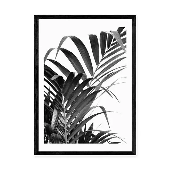 Palm Leaf Wall Print - Black/White, Paper