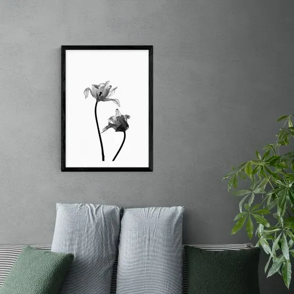 Portrait Iris Print - Black/White, Paper