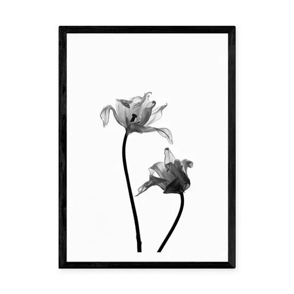 Portrait Iris Print - Black/White, Paper