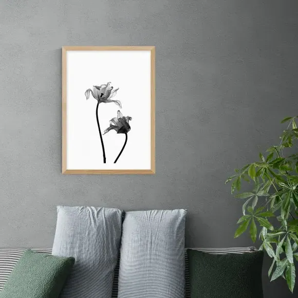 Portrait Iris Print - Black/White, Paper