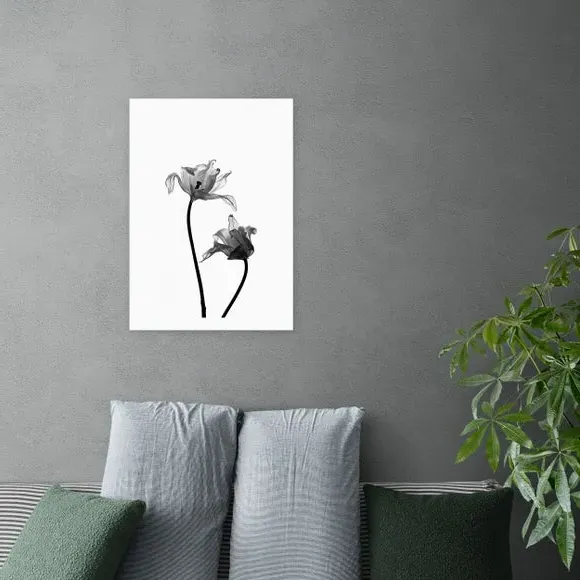 Portrait Iris Print - Black/White, Paper image