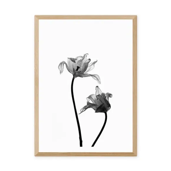 Portrait Iris Print - Black/White, Paper