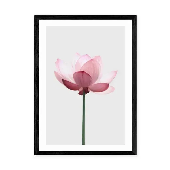 Portrait Lotus Print - Pink, Archival Paper