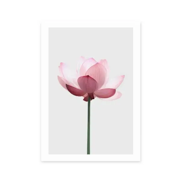 Portrait Lotus Print - Pink, Archival Paper image