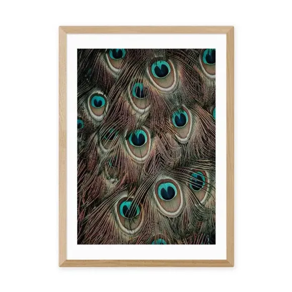 Portrait Peacock Feathers Print - Green, Paper