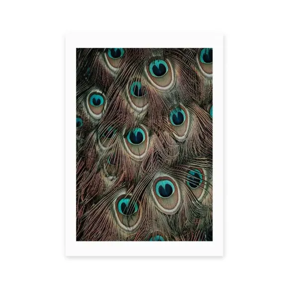 Portrait Peacock Feathers Print - Green, Paper