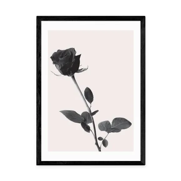 Rose Wall Print - Black, Archival Paper