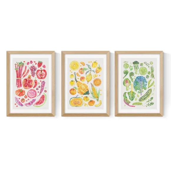 Set of 3 Framed Prints Botanical Design