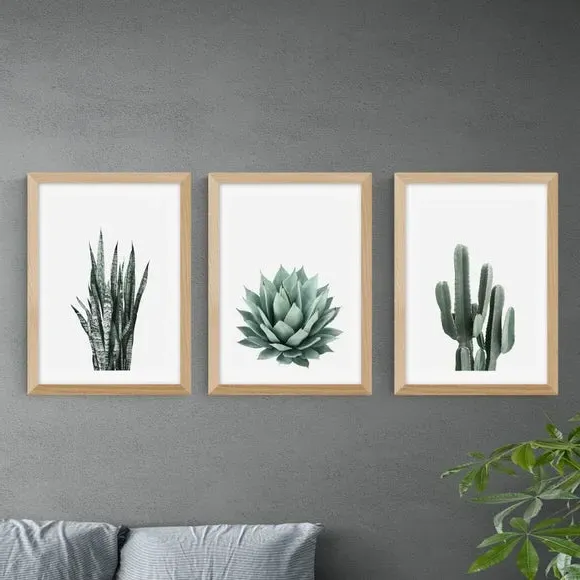 Set of 3 Succulent Wall Prints - Green