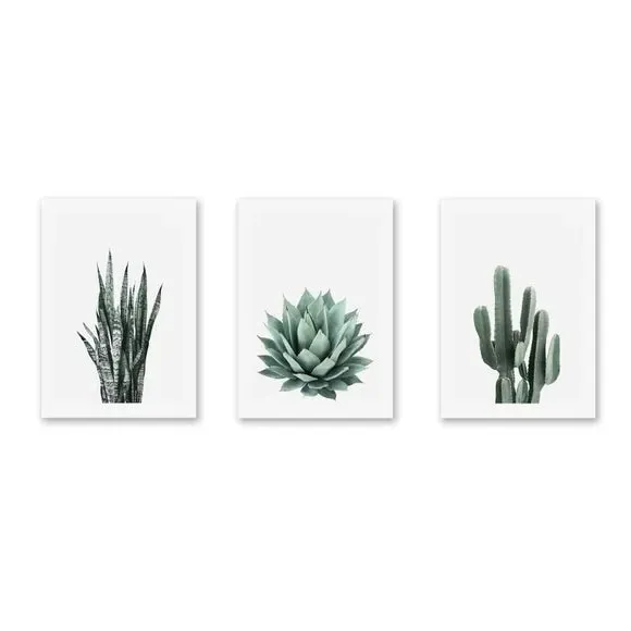 Set of 3 Succulent Wall Prints - Green
