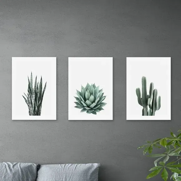 Set of 3 Succulent Wall Prints - Green image