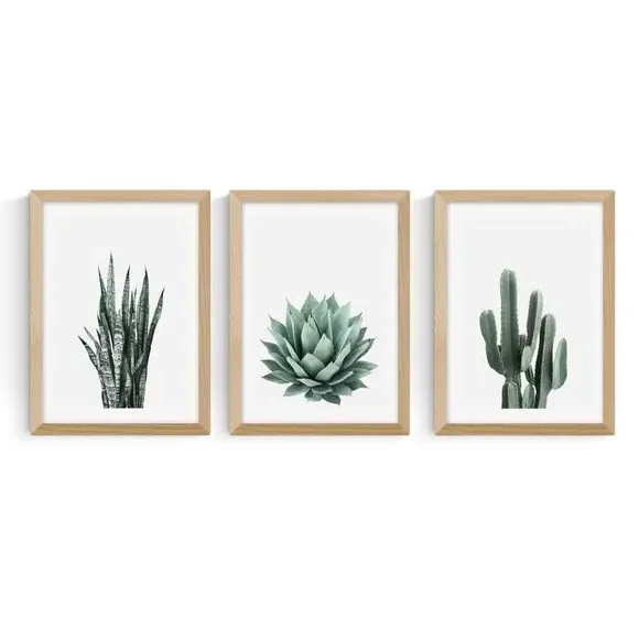 Set of 3 Succulent Wall Prints - Green