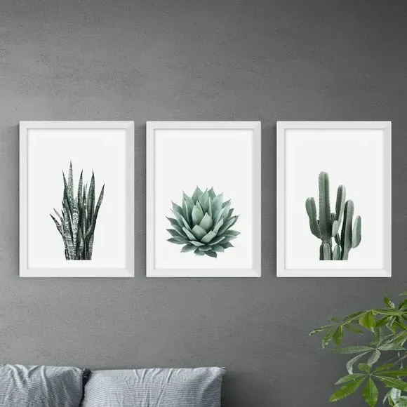 Set of 3 Succulent Wall Prints - Green