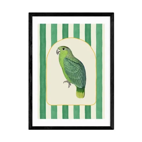 Stripy Parrot Wall Print - Green