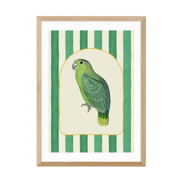 Stripy Parrot Wall Print - Green