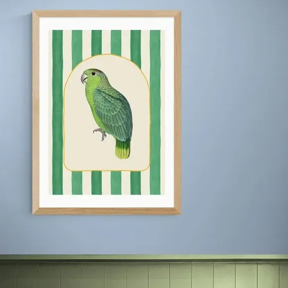 Stripy Parrot Wall Print - Green