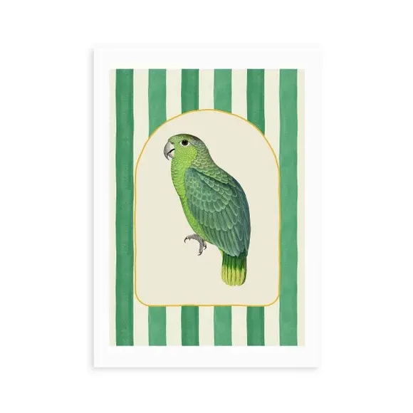 Stripy Parrot Wall Print - Green