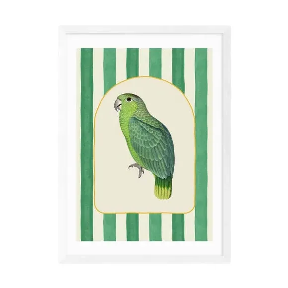 Stripy Parrot Wall Print - Green