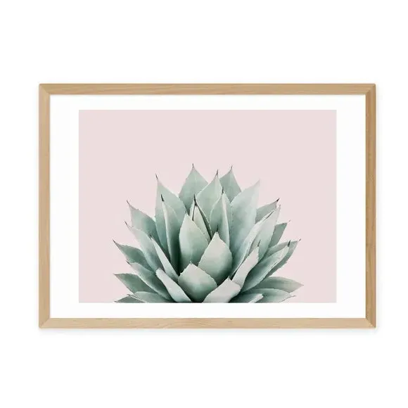 Succulent Wall Print - Pink, Archival Paper