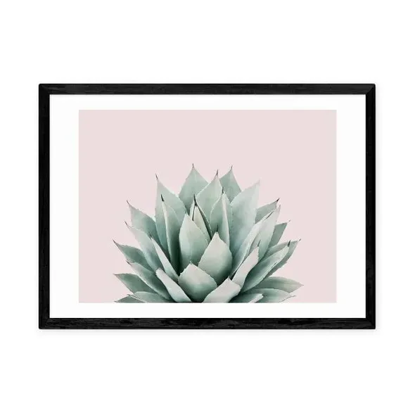 Succulent Wall Print - Pink, Archival Paper
