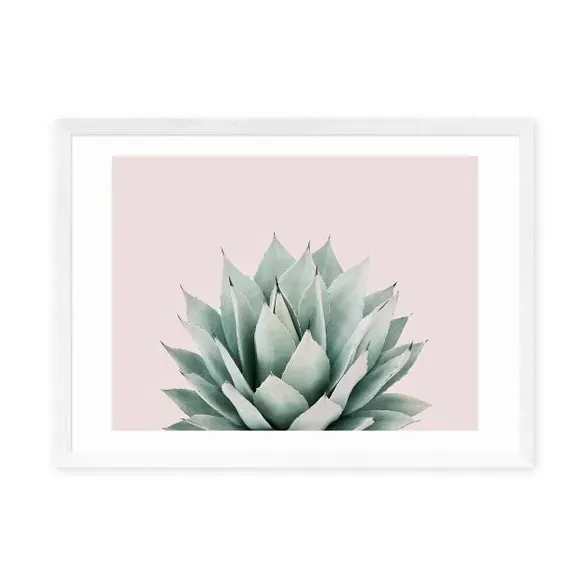 Succulent Wall Print - Pink, Archival Paper
