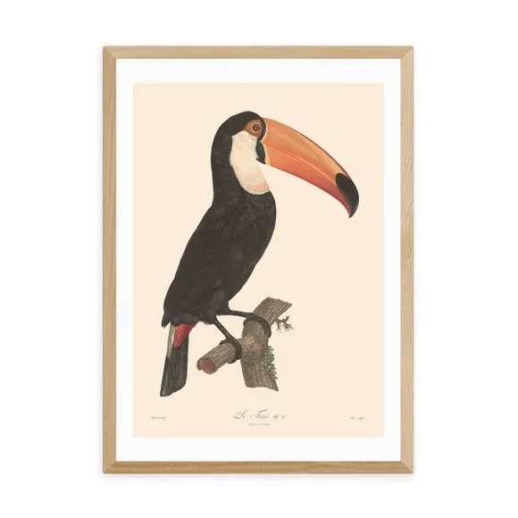 Toucan Wall Print - Natural, Archival Paper