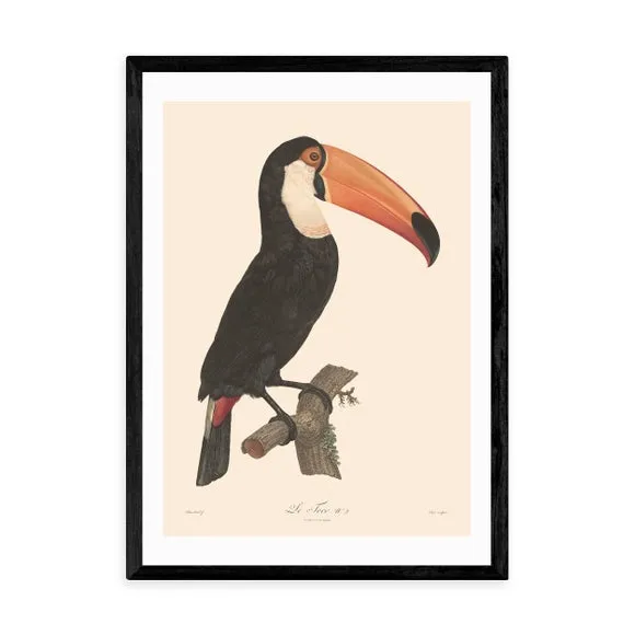 Toucan Wall Print - Natural, Archival Paper