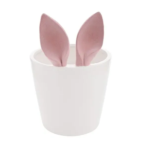 Bunny Ears Plant Pot with Flocked Design - White