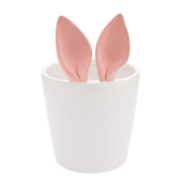 Bunny Ears Plant Pot with Flocked Design - White