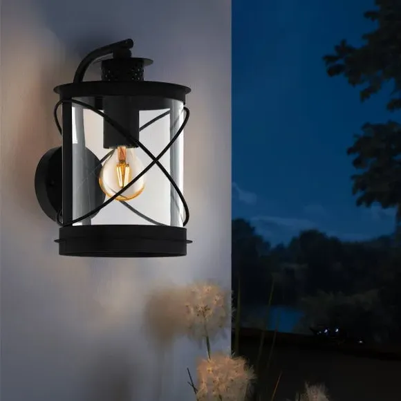 Caged Outdoor Wall Light - Black, Steel