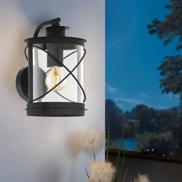 Caged Outdoor Wall Light - Black, Steel image