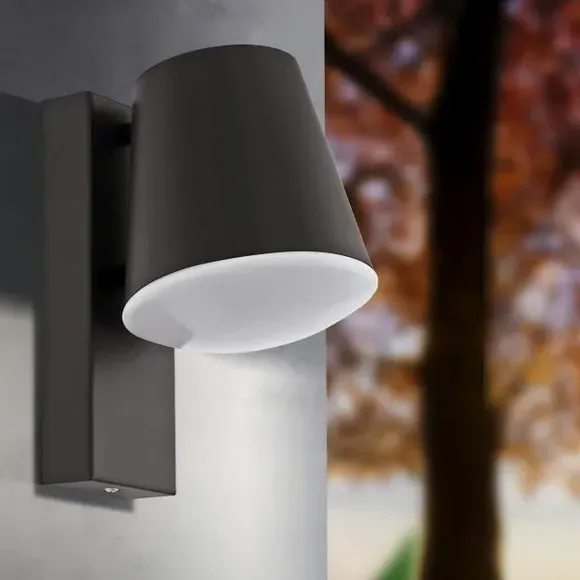 LED Outdoor Wall Light - Anthracite, Steel