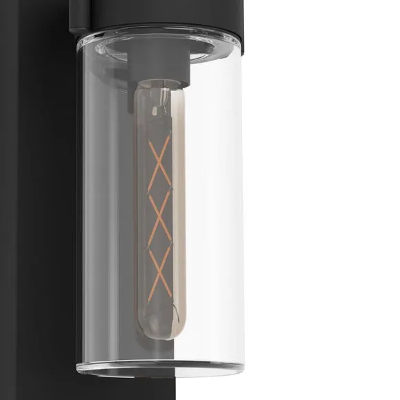 Outdoor Wall Light with Glass Shade - Black, Steel