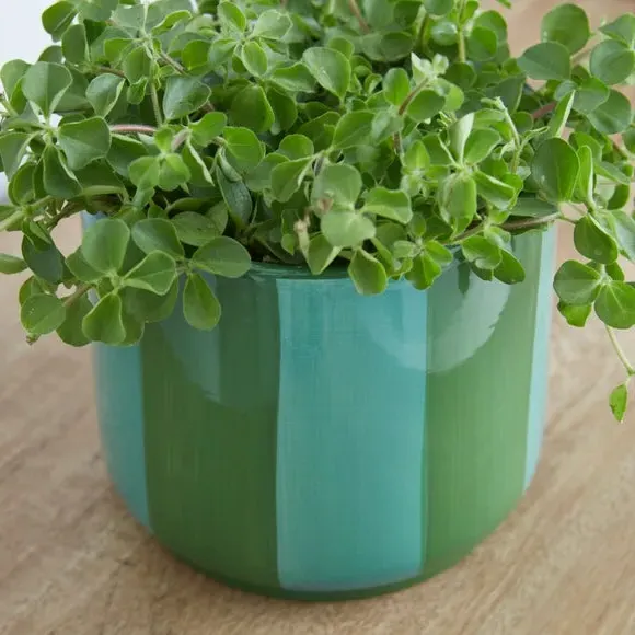 Striped Plant Pot - Green, Ceramic