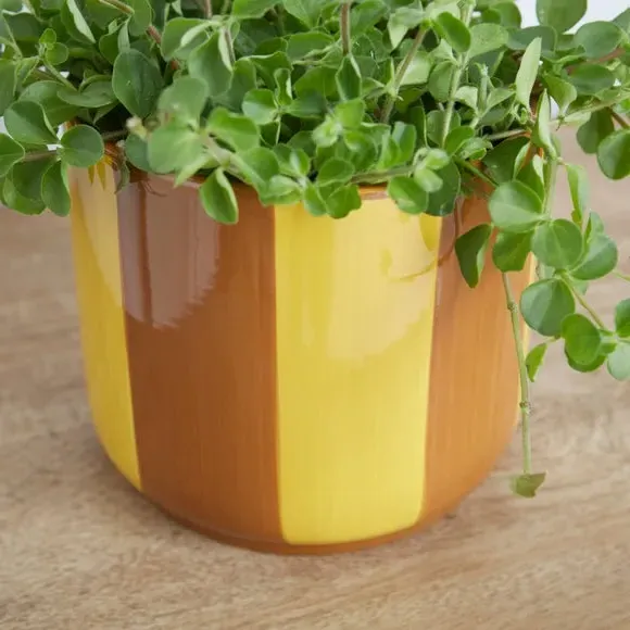 Striped Plant Pot - Ochre, Ceramic