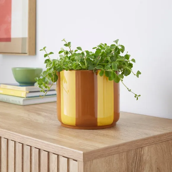 Striped Plant Pot - Ochre, Ceramic