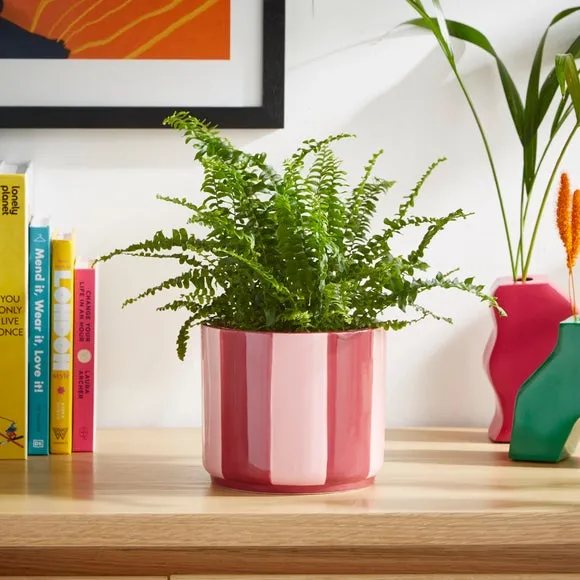 Striped Plant Pot - Pink, Ceramic