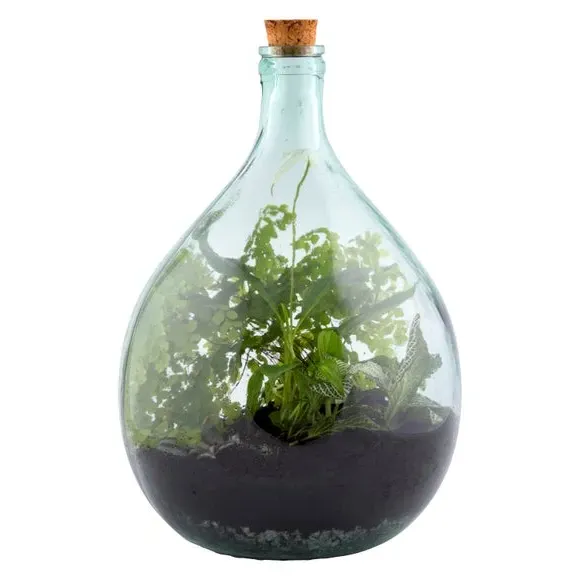 15L Terrarium Bottle with Tools Set - Clear