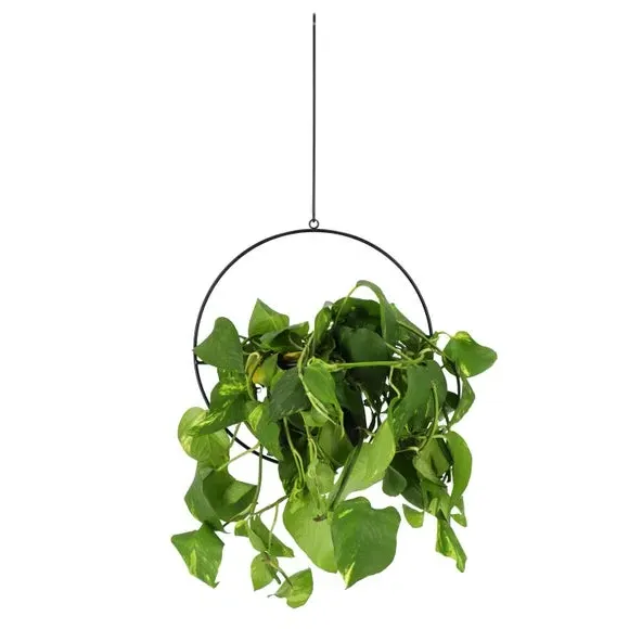 Hanging Plant Pot with Hook - Black, Metal image