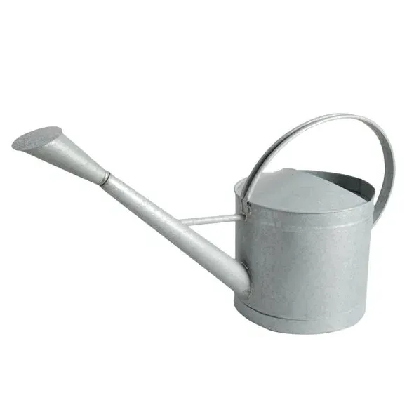 Outdoor Watering Can with Removable Nozzle - Grey, Zinc
