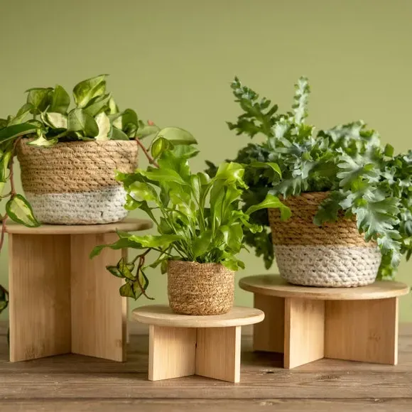 Plant Stand with Storage - Natural, Bamboo