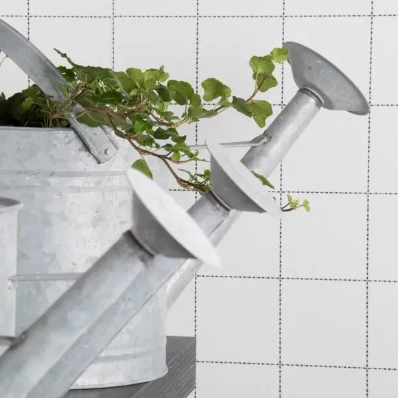 Watering Can with Removable Nozzle - Grey, Zinc