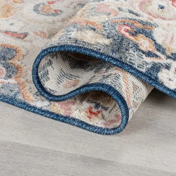 Traditional Indoor Outdoor Rug - Blue